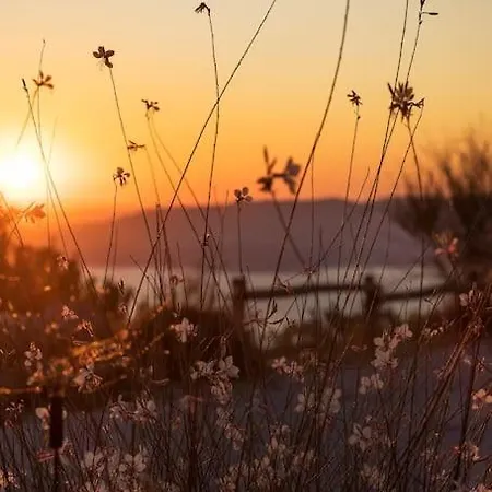 Vouno - Luxury And Privacy In The Aegean Villa *