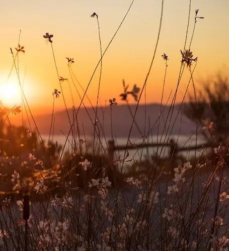 Vouno - Luxury And Privacy In The Aegean Villa *
